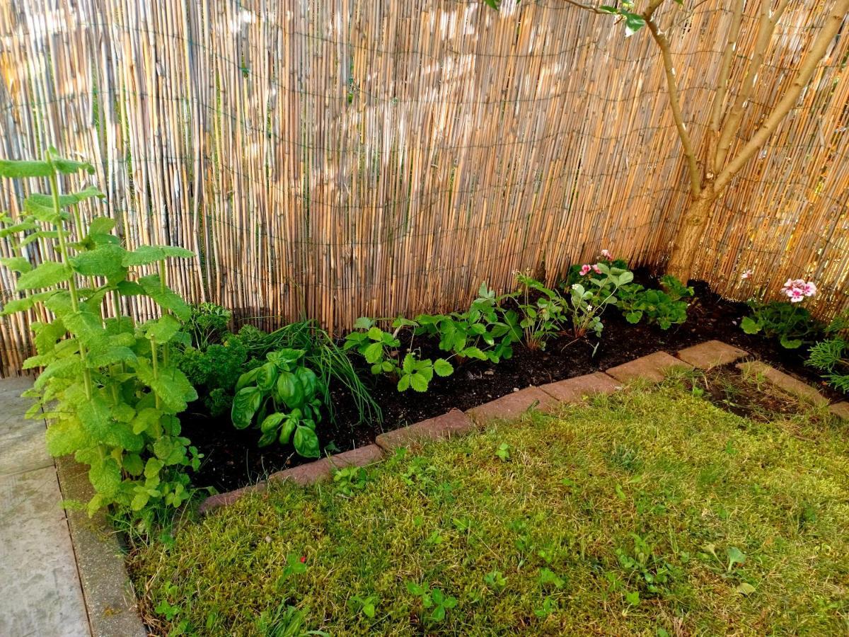 Sunny Sleeps 4 By The Beach With Garden Patio - Gdansk Przymorze Apartamento Exterior foto